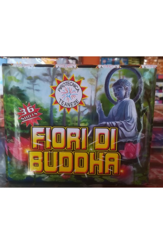 FIORI DI BUDDA 36 COLPI...